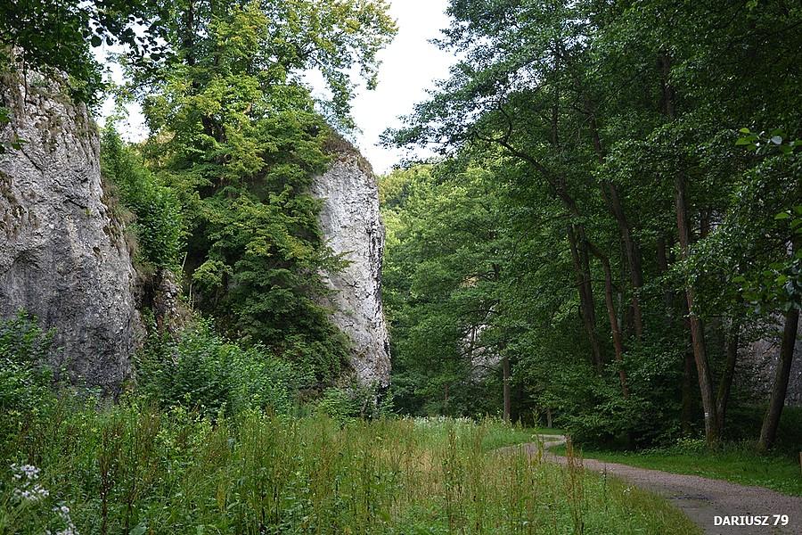 Dolina Mnikowska- Mników