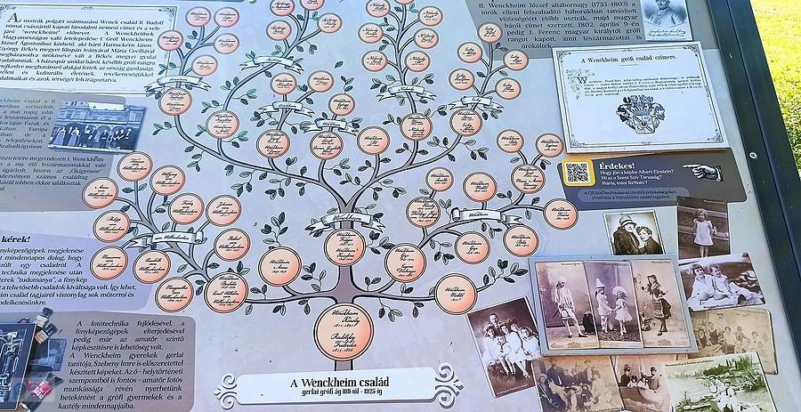 Drzewo genealogiczne rodu Wenckheim