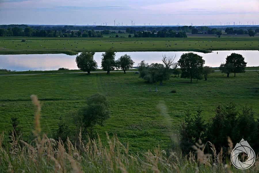 Odra w okolicy zachodu
