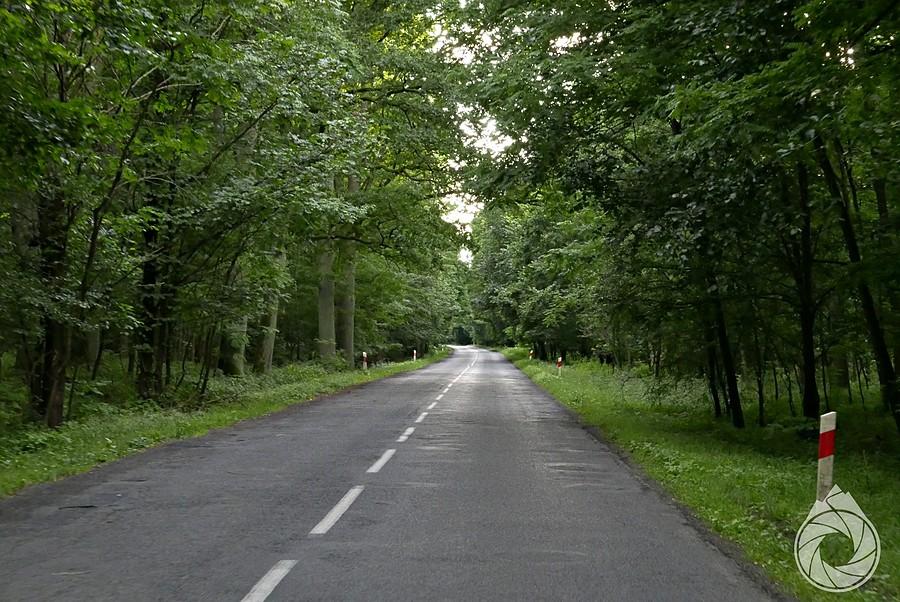 prościutkie i zgryzione drogi z Mieszkowic na zachód