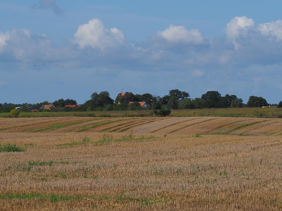 Sułów na horyzoncie