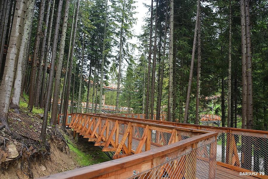 Centrum Przyrodniczo-Edukacyjne Brama w Gorce - Waksmund