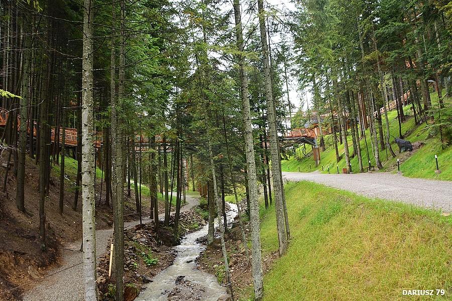 Centrum Przyrodniczo-Edukacyjne Brama w Gorce - Waksmund