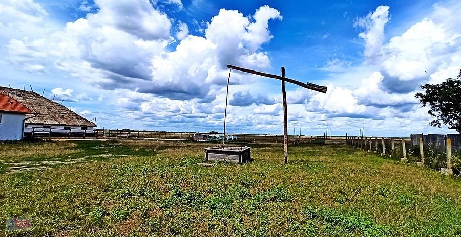 Żuraw - symbol węgierskiej puszty