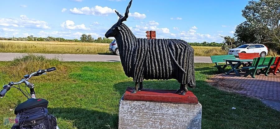 Pomnik owcy prostorogiej (śruborogiej) w Pusztai Allatpark w Hortobagy