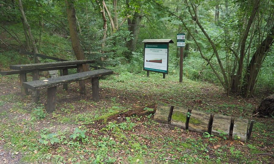 Na Szlaku Bobrów