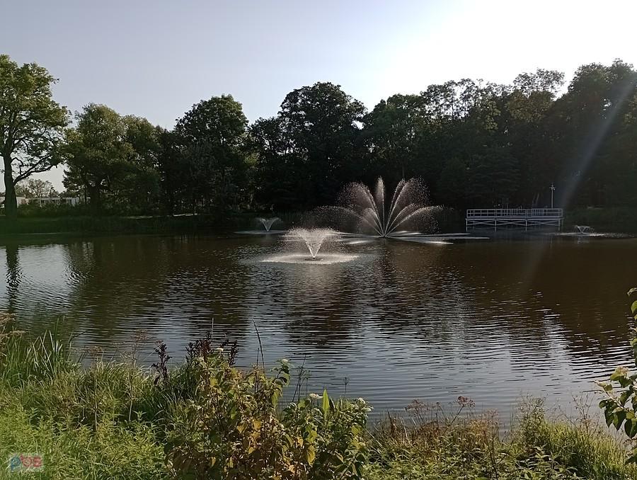 Staw w Ołtarzewie