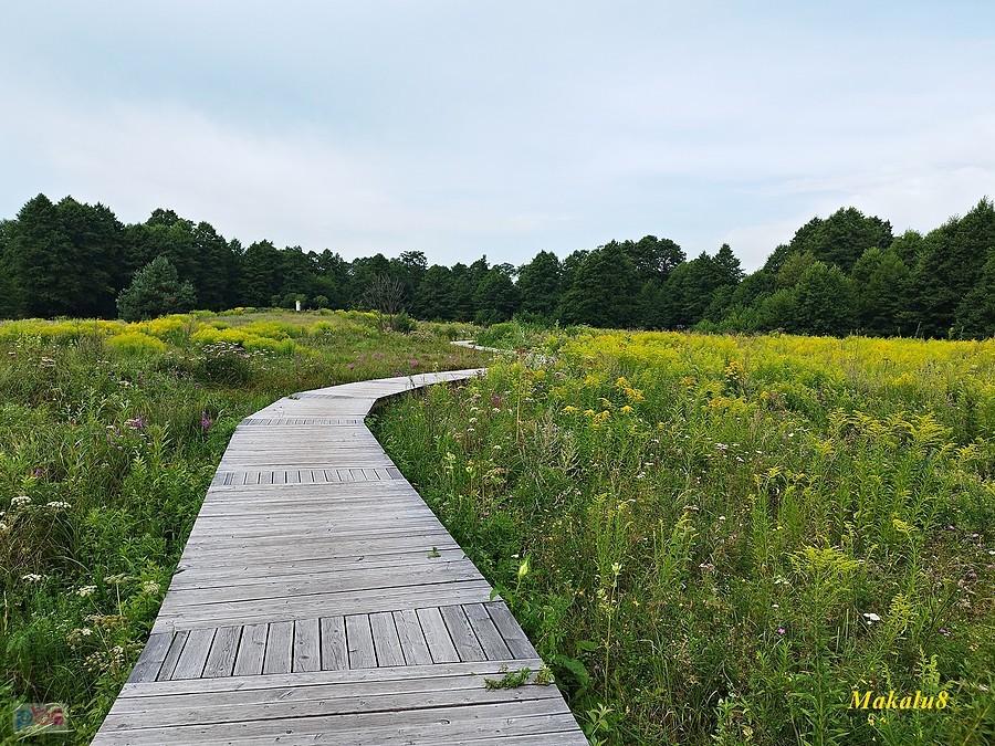Park Doliny Białej Przemszy