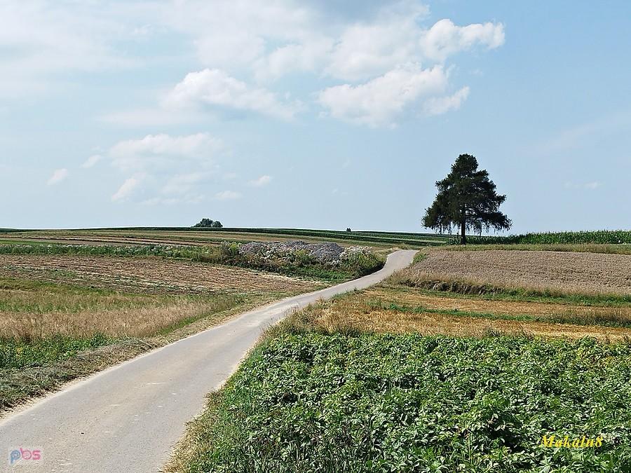 Pola nad Sołuszową