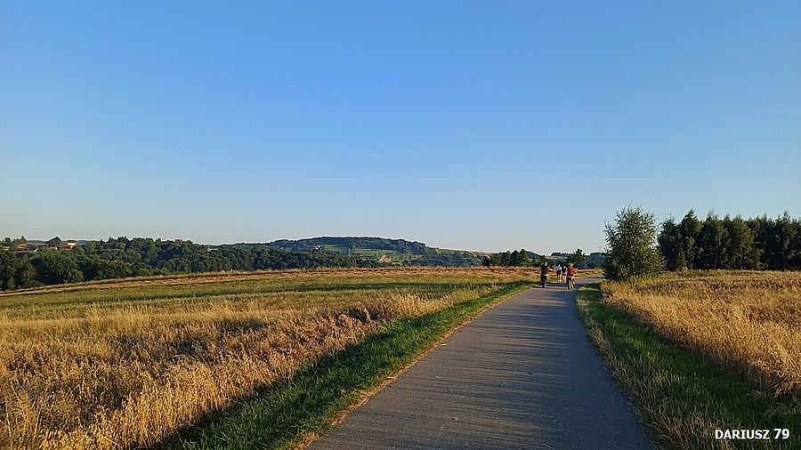 Łysa Góra k/Tarnowa