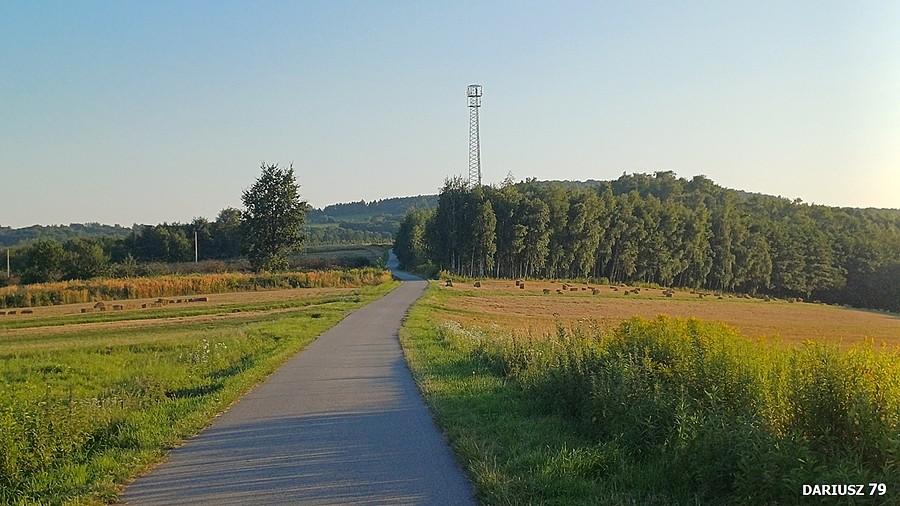Łysa Góra k/Tarnowa
