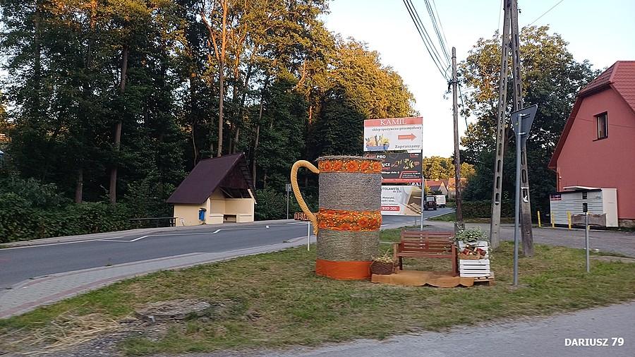 Łysa Góra k/Tarnowa
