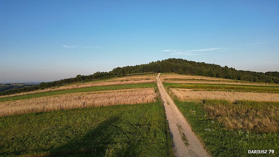 Łysa Góra k/Tarnowa - Góra Dąbrowa