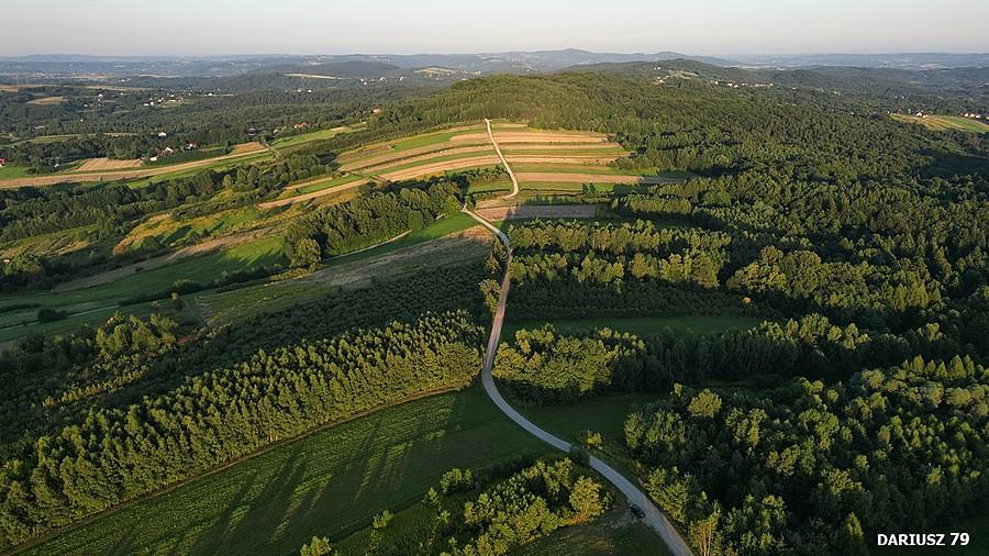 Łysa Góra k/Tarnowa