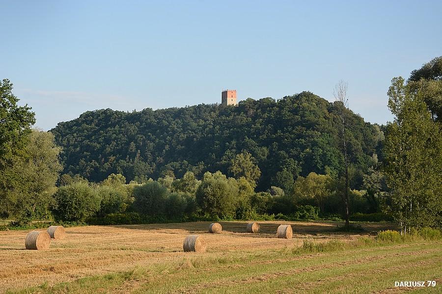 Wesołów - Widok na ruiny Zamku Melsztyn