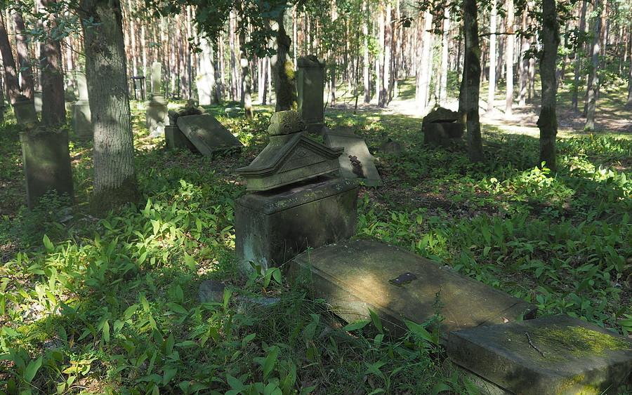 Stary cmentarz ewangelicki w Świniarach