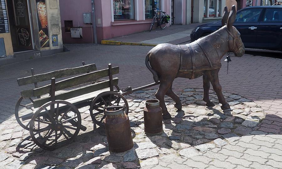 Muchociński osiołek