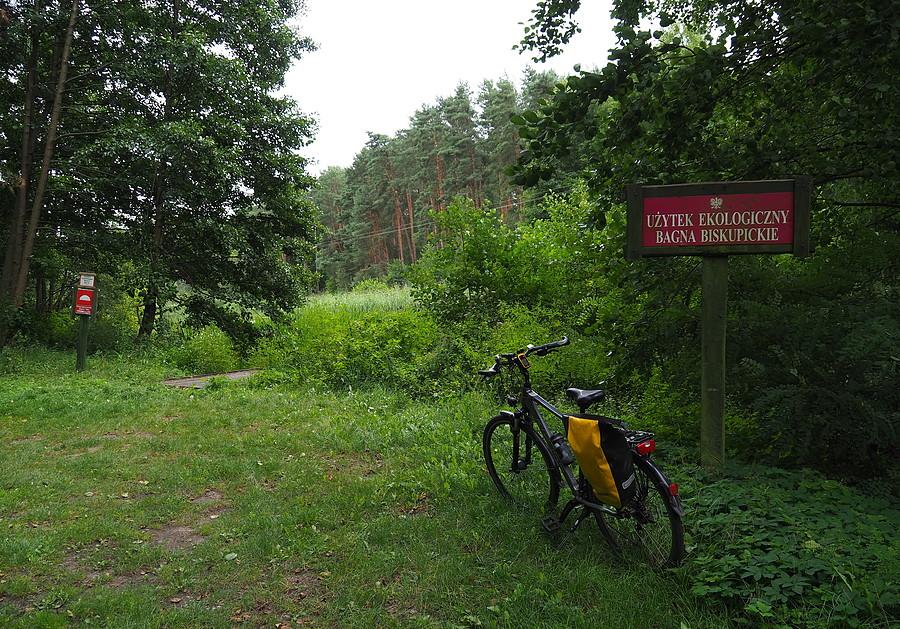 Użytek ekologiczny Bagna Biskupickie