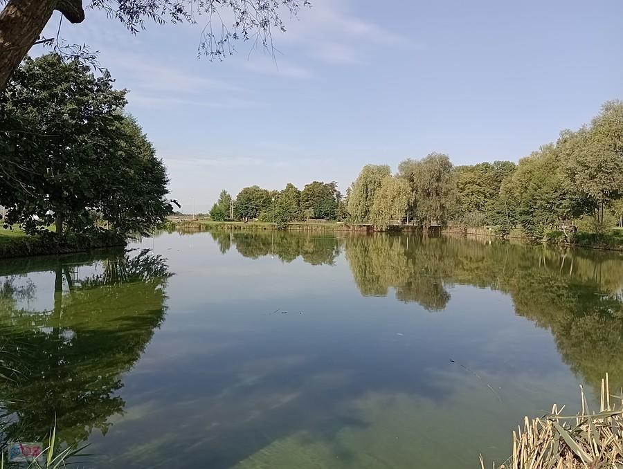 Staw w Zielonkach