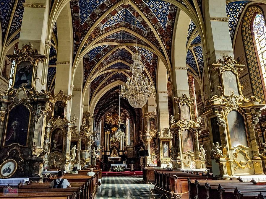 Nawa główna katedry sandomierskiej