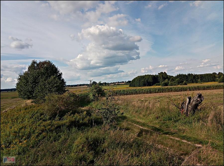 widok na Brzozowiec