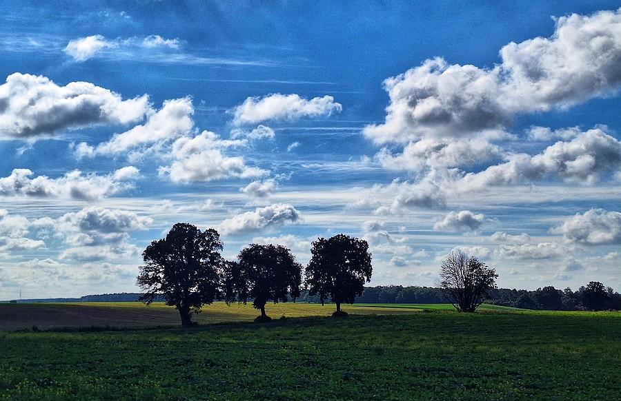 Landszafcik z Lisówek