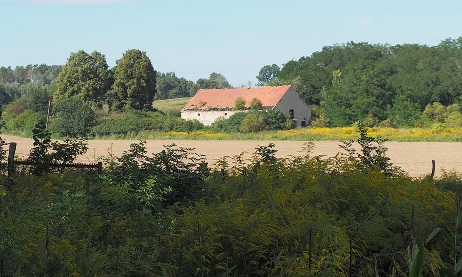 Podbiele z innej perspektywy