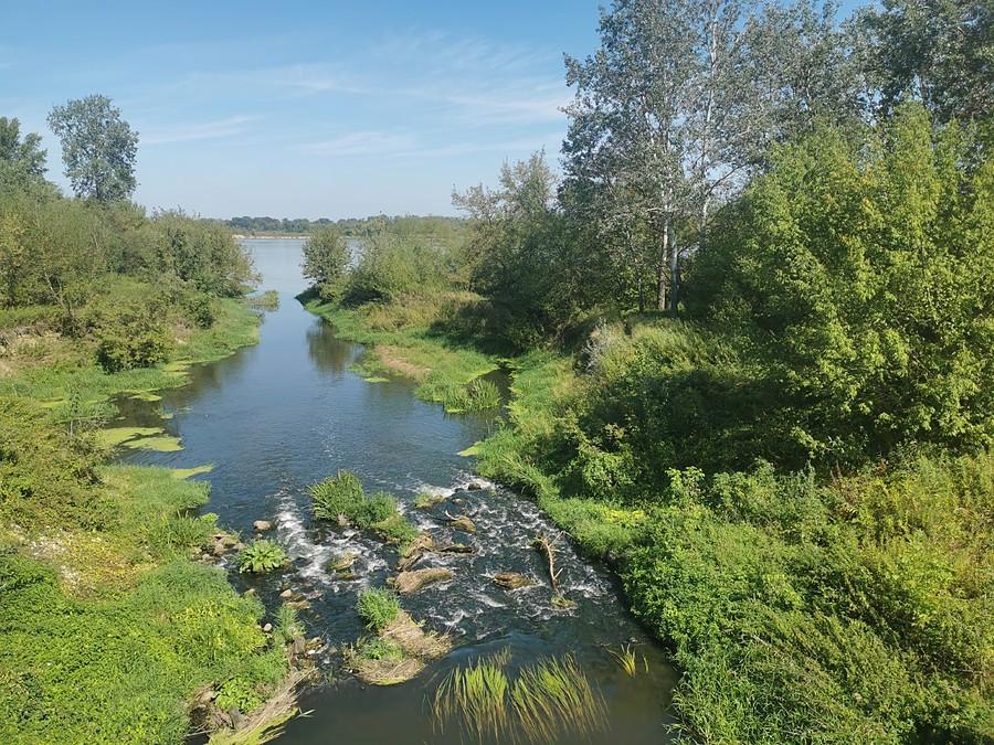 Jeziorka z mostu