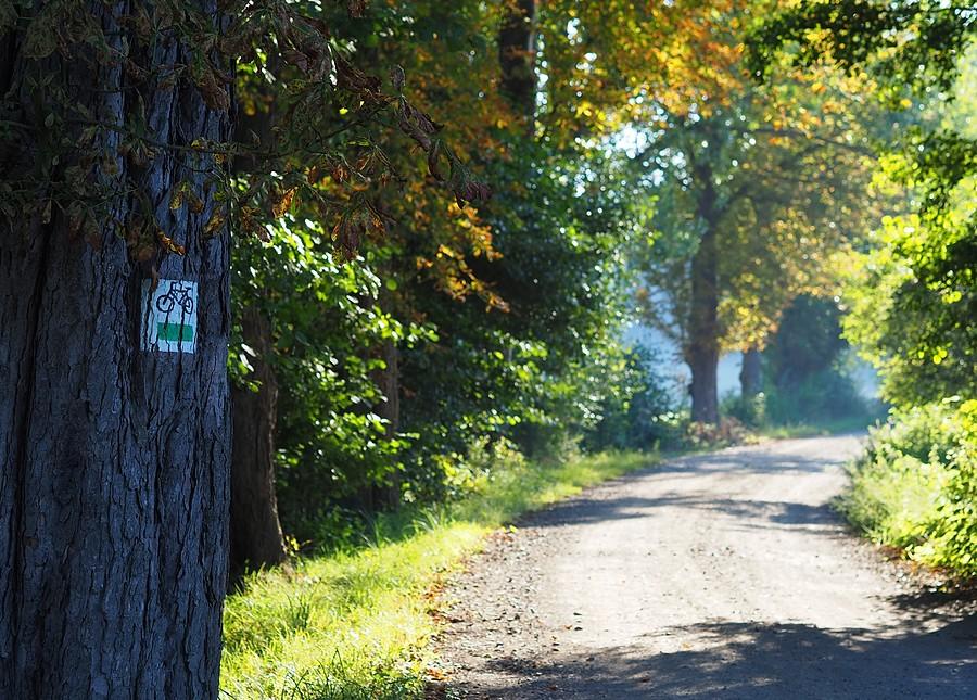 Zielony szlak rowerowy niedaleko Połęcina