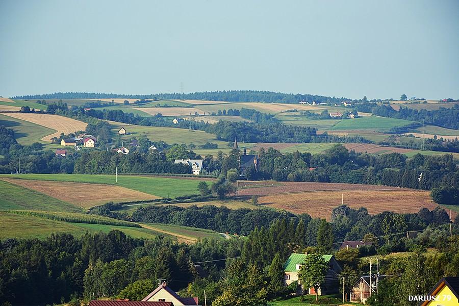 Bruśnik