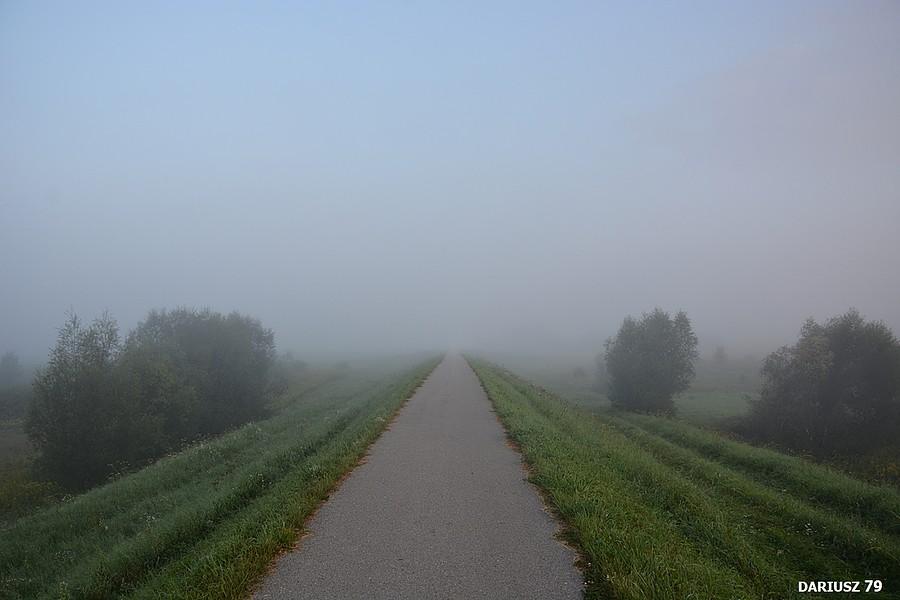 Pasieka Otfinowska