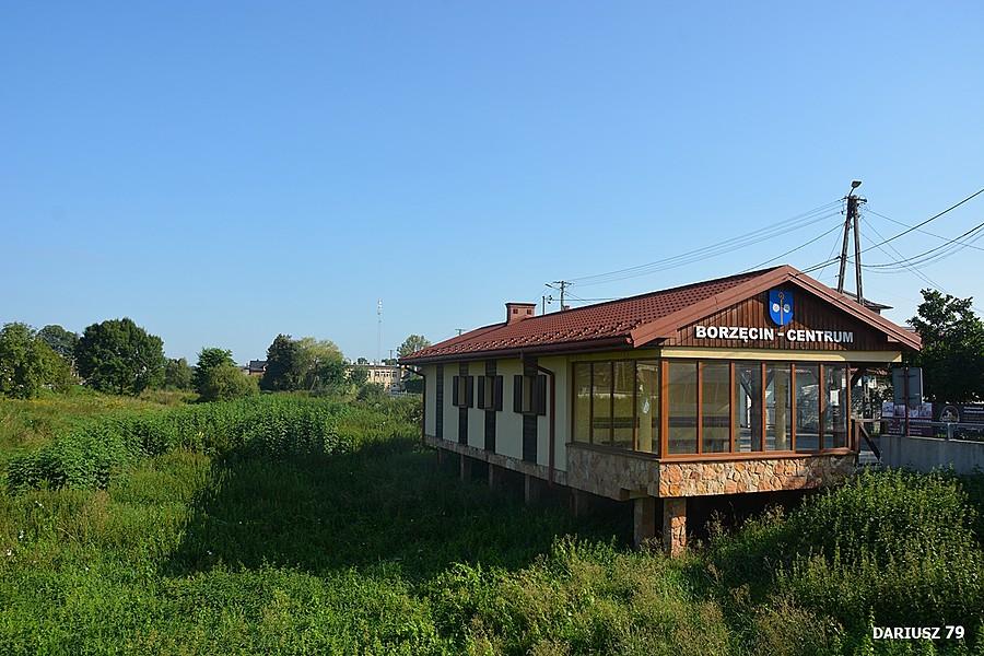 Borzęcin