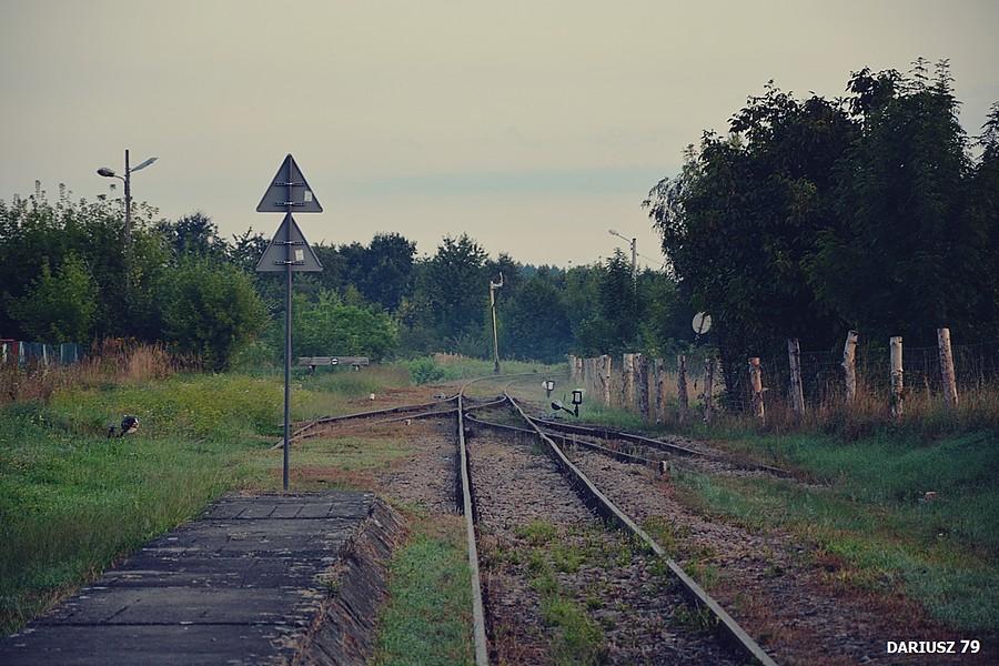 Żabno – nieczynna stacja kolejowa na linii kolejowej nr 115 (Szczucince)