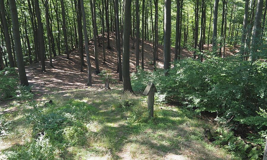 Widok na podejście do szczytu