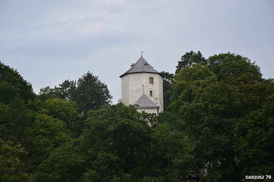 Ojcowski Park Narodowy - Ruiny Zamku w Ojcowie