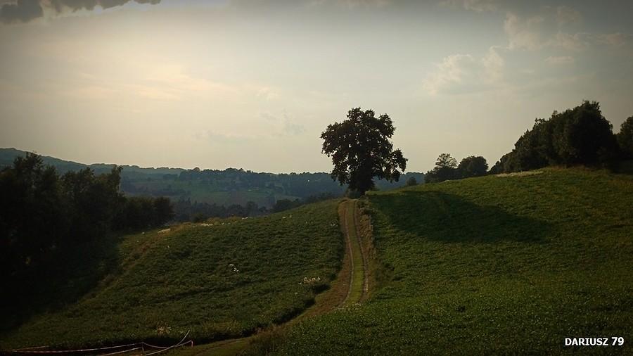 Dębno