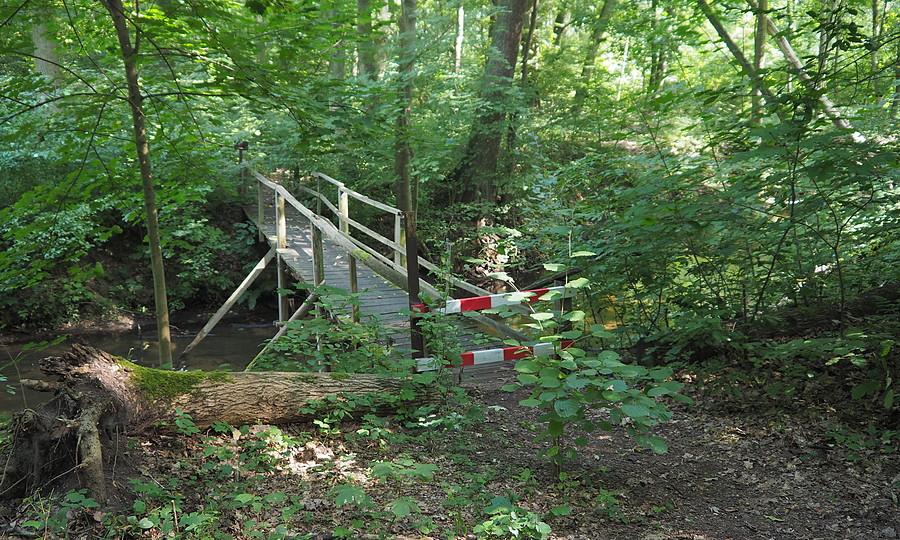 Rezerwat Kolno tymczasowo zamknięty