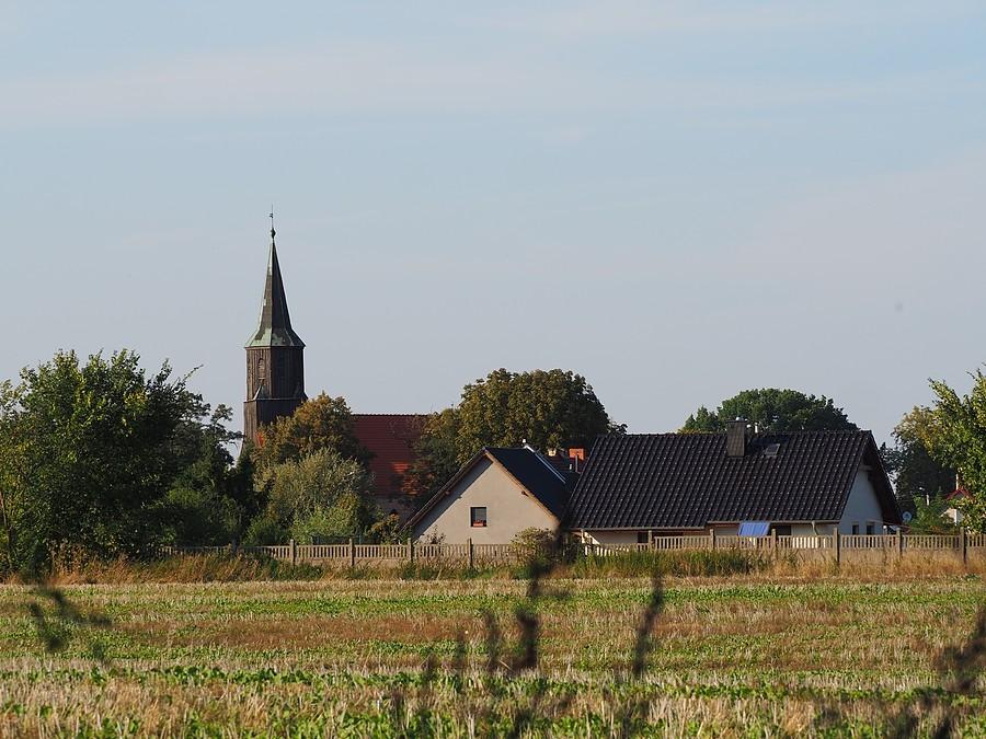 Świniary na horyzoncie