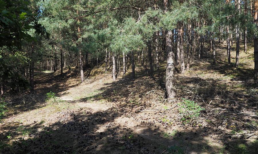 Królewska Góra
