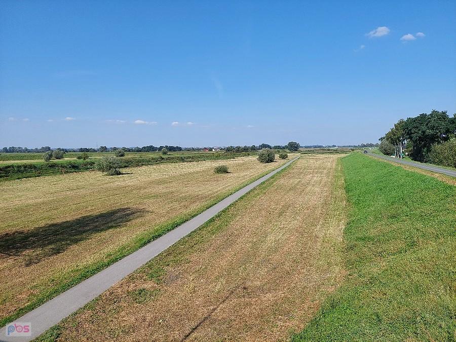 Widok z przyczółka mostowego w Niepołomicach na międzywale Wisły
