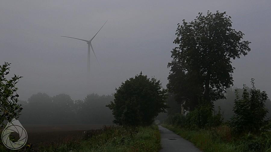 wiatraki wyłaniają się z zachodniopomorskiej mgły
