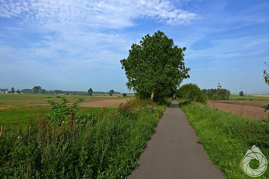 śródpolna dróżka nad morze