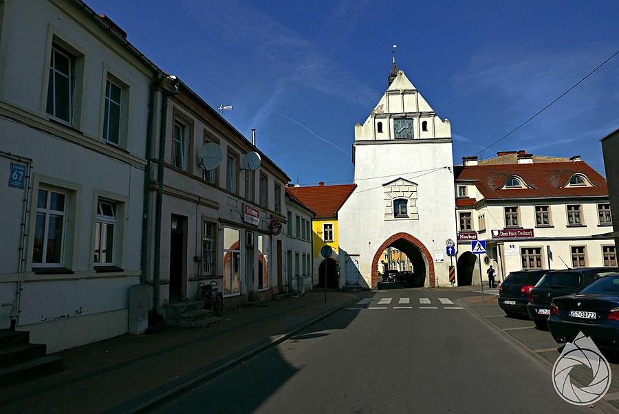 brama gryficka