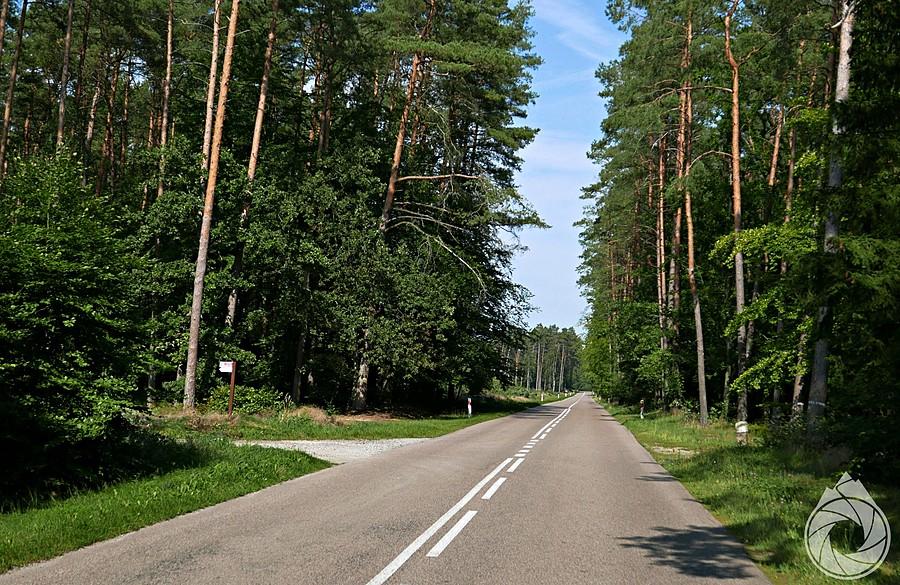 podzirawione drogi przez lasy zachodniopomorskie