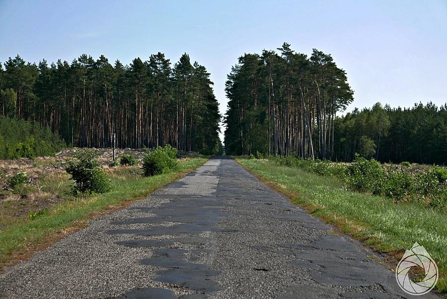wykoszone z lasów i podziurawione proste za Szczecin