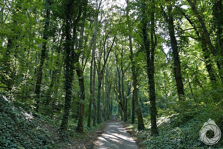 ul. Grabową w Szczeciniie