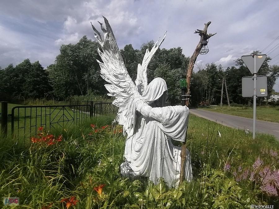 Biały Anioł w Starym Ujeździe