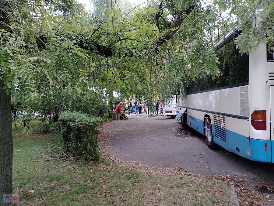 Kolejka statystów