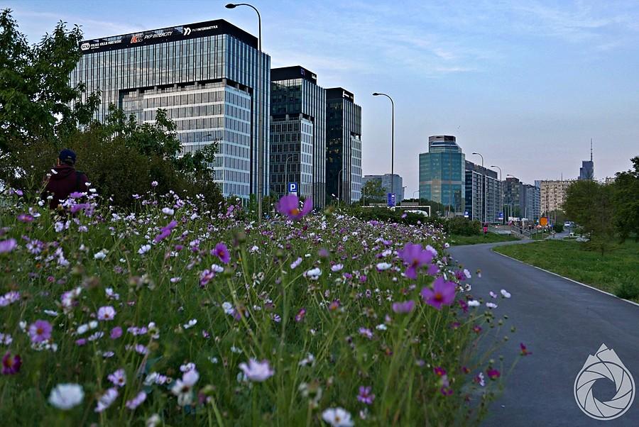 centrum wszystkiego przy Al. Jerozolimskich