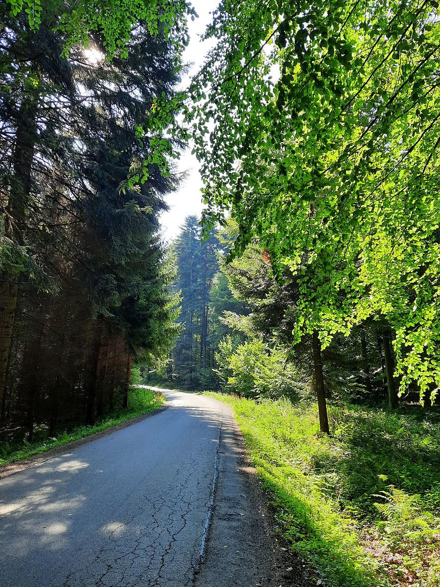 Chwila ochłody.